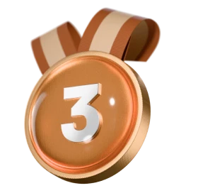 Third place - Bronze Medal
