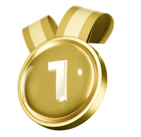 First place - Gold Medal