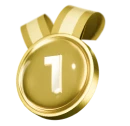 First place - Gold Medal