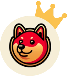 1st place - Gold Medal