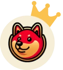 1st place - Gold Medal