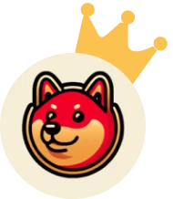 1st place - Gold Medal