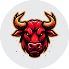 2nd place - Silver Medal