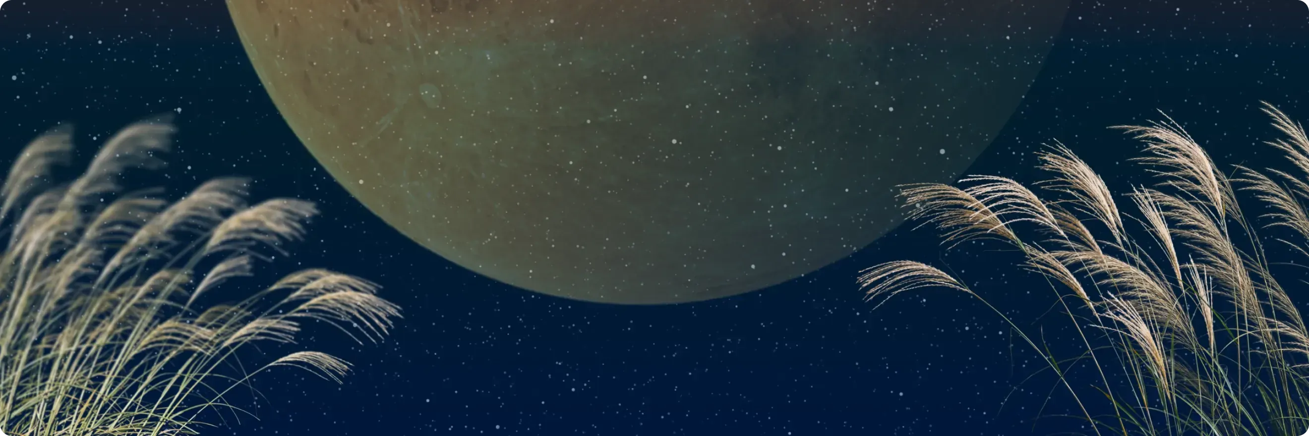 Autumn Bonus promotion with golden planets, stars and decorative autumn grass on a dark blue background.